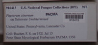 Image Associated With the Occurence